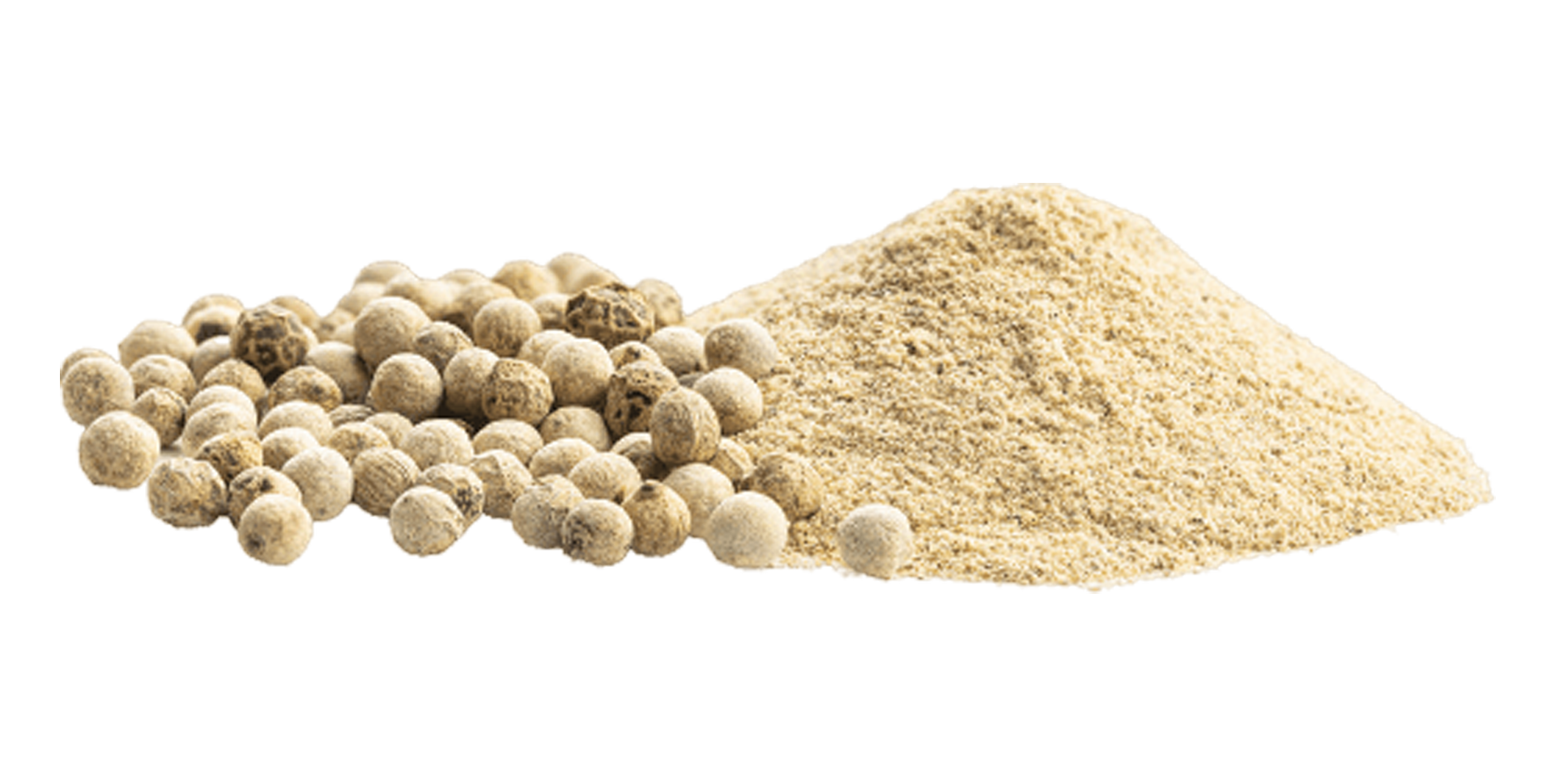 White Pepper