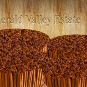 Ceylon Cinnamon vs. Cassia Cinnamon