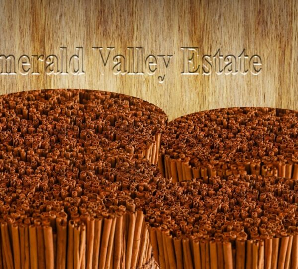 Ceylon Cinnamon vs. Cassia Cinnamon