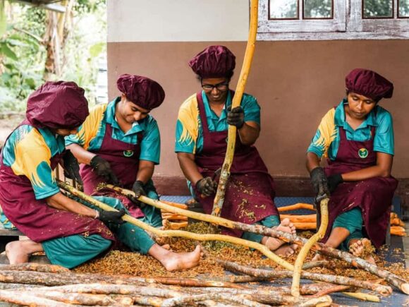 Ceylon Cinnamon Powder in Bulk: Why Choose Emerald Valley Estate